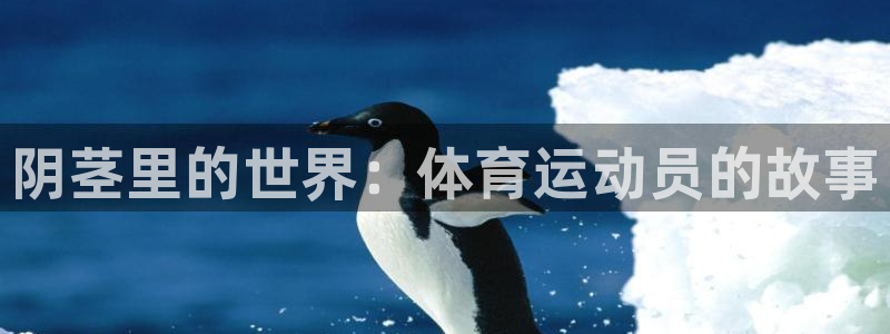 米兰体育官网下载招商电话地址查询：阴茎里的世界：体育