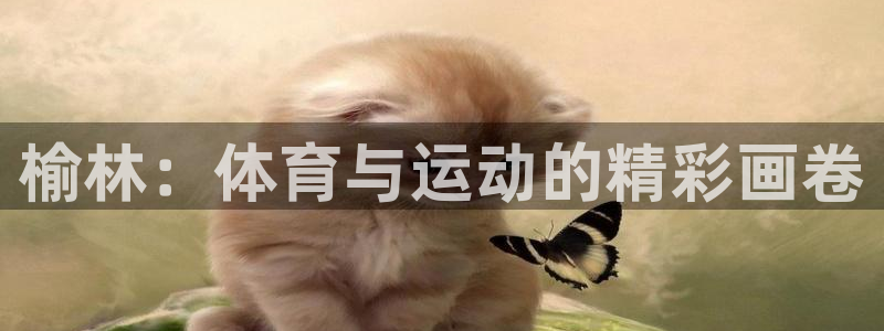 米兰体育官网下载注册：榆林：体育与运动的精彩画卷