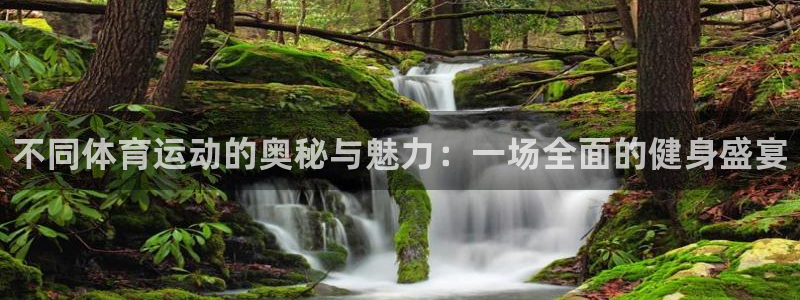 米兰体育官方正版app娱乐代理怎么样：不同体育运动的