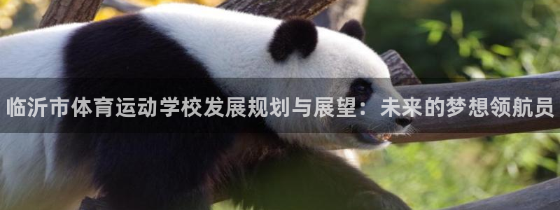 米兰体育官网下载招商电话是多少啊：临沂市体育运动学校发展规划