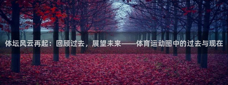米兰体育官网下载招商电话地址：体坛风云再起：回顾过去