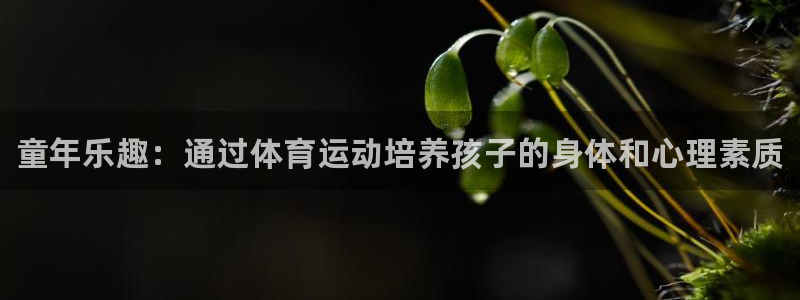 米兰体育官网下载招商电话号码查询
