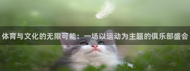 米兰体育官网下载招商电话号码查询：体育与文化的无限可能：一场