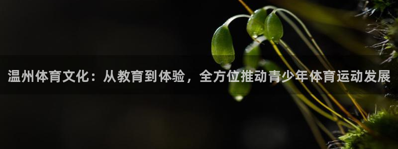 米兰体育官方正版app娱乐首页网站大全：温州体育文化