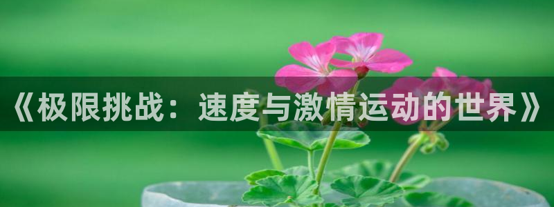 米兰体育官网下载招商电话是多少号码：《极限挑战：速度