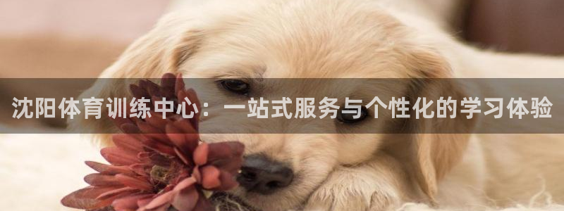 米兰体育官网下载平台注册要钱吗是真的吗：沈阳体育训练