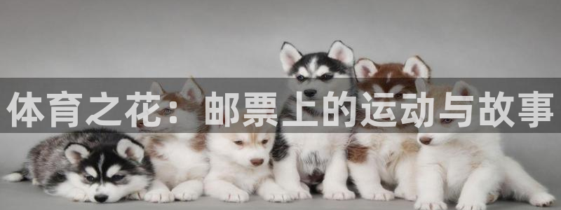 米兰体育官方正版app集团官网网址：体育之花：邮票上