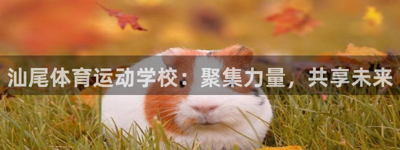 米兰体育官方正版app集团logo：汕尾体育运动学校