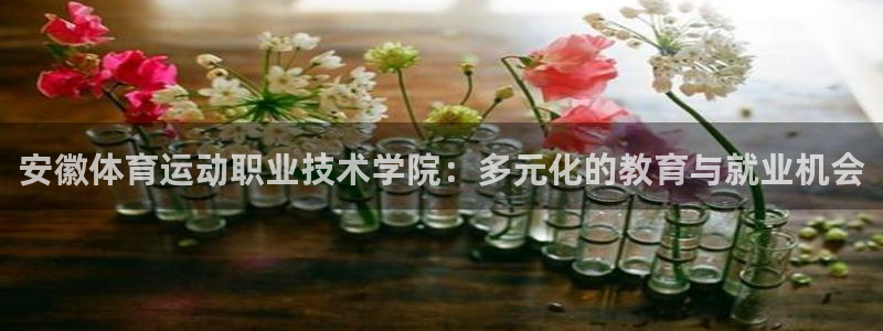 米兰体育官网下载娱乐