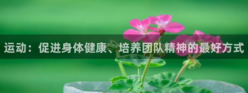 米兰体育官方正版app官网：运动：促进身体健康、培养团队精神