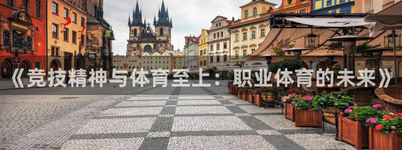 米兰体育官网下载平台注册流程视频：《竞技精神与体育至