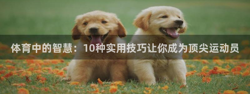 海南米兰体育官网下载：体育中的智慧：10种实用技巧让你成为顶