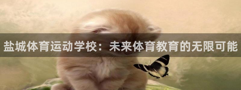 米兰体育黑款：盐城体育运动学校：未来