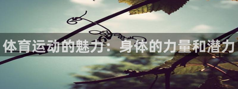  米兰体育能赚钱吗是真的吗：体育运动的魅力：身体的力量和潜力