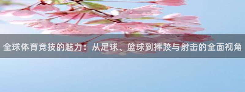  米兰体育官网在线下载：全球体育竞技的魅力：从足球、篮球到摔跤