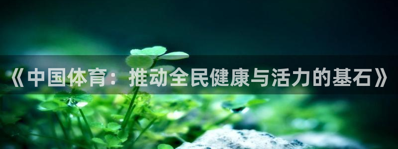 米兰体育官网在线下载：《中国体育：推