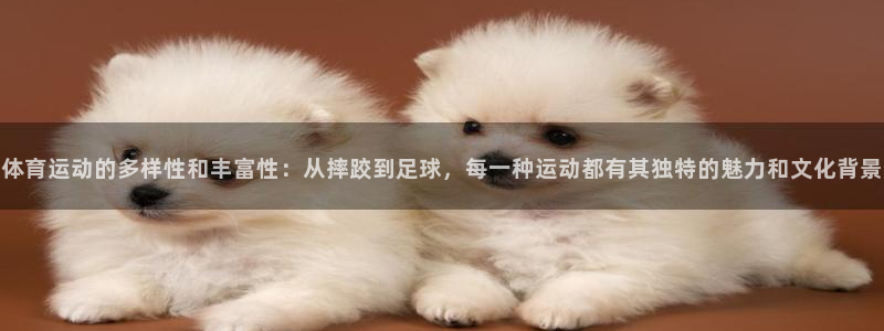  米兰体育最新官网：体育运动的多样性和丰富性：从摔跤到足球，每