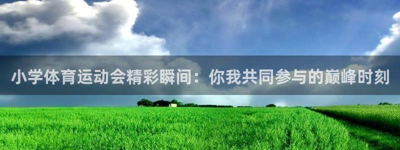 米兰体育全站app登录app：小学体