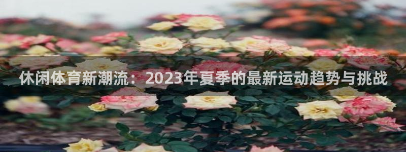 米兰体育app下载地址在哪：休闲体育新潮流：2023年夏季的