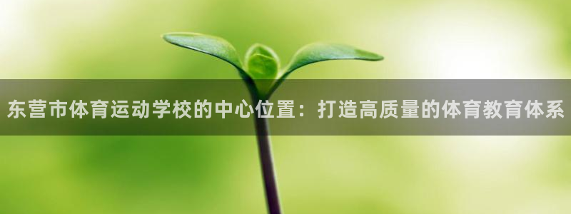  米兰体育app手机下载安装：东营市体育运动学校的中心位置：打