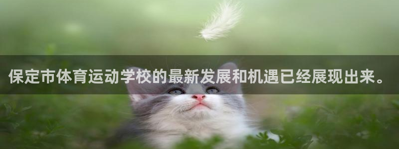 米兰体育正规吗?：保定市体育运动学校