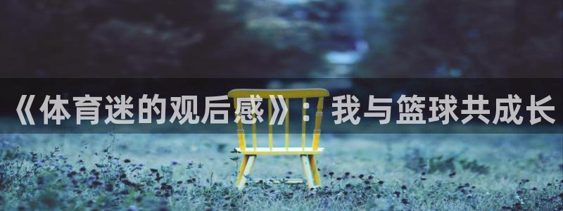 米兰体育可信度：《体育迷的观后感》：