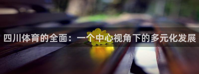 米兰体育打不开：四川体育的全面：一个中心视角下的多元化发展