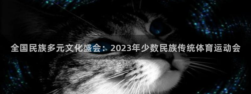 米兰体育登录入口登录不了：全国民族多元文化盛会：2023年少
