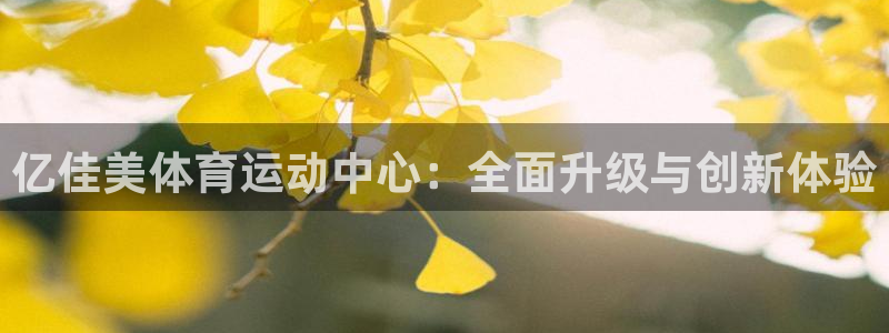 米兰体育宣布罗纳尔迪尼奥出任品牌大使了吗：亿佳美体育运动中心