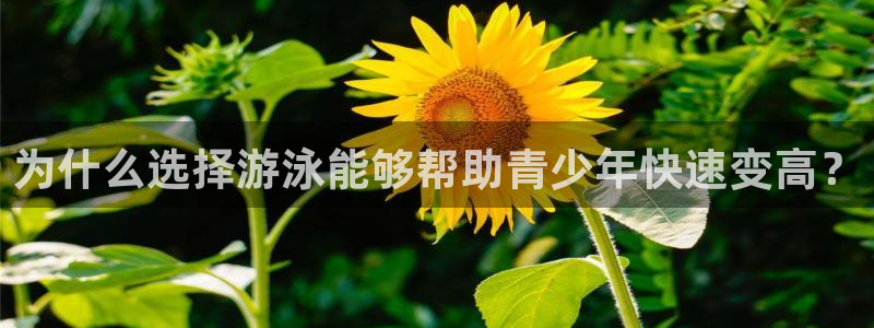  米兰体育提款被黑：为什么选择游泳能够帮助青少年快速变高？