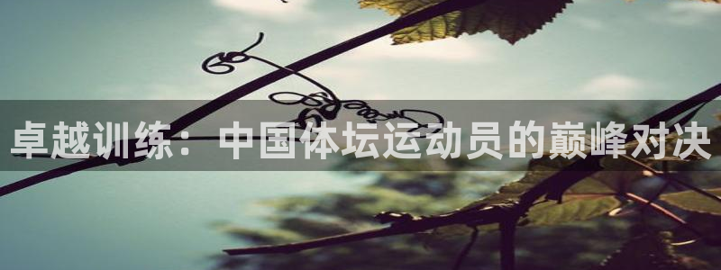 米兰体育报法国大使道歉：卓越训练：中